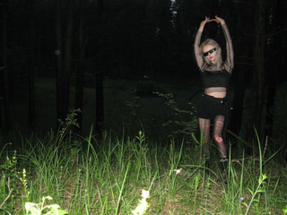 KITTY IN NIGHT FOREST