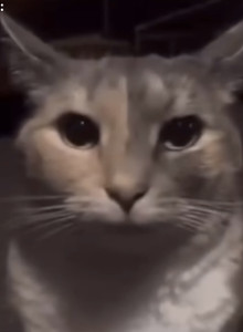 Aktau22 My Photos photo 13625459