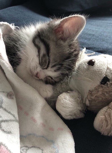 tvoybatya67 My Photos photo 10448916