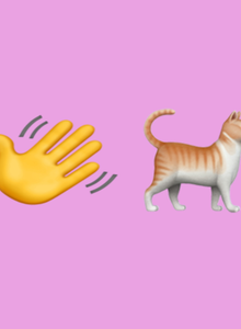 Grandma-x EMO photo 11502439