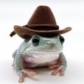 UncleFrog