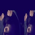 Sopotow-123