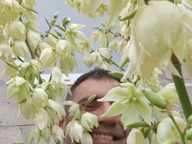 Sergem202018-1