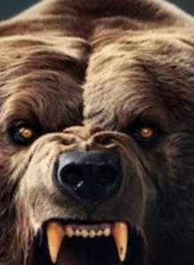 Mixa136rus My Photos photo 14182482