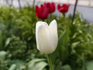 My Photos