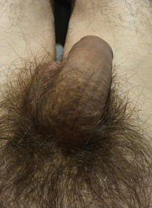 Pavel0740 Фото photo 14849601