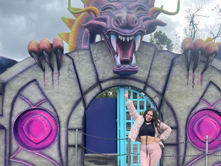 at the amusement park