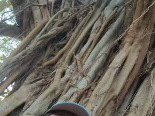 I love nature.