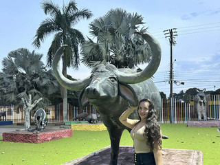 I love animals.