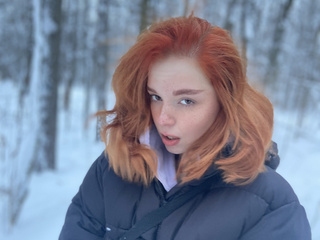 In the winter forest