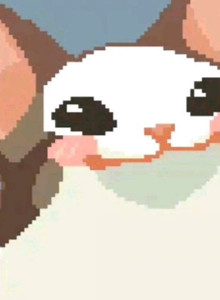 WWWWWWWWWWWWWWWWWWWWWWWM My Photos photo 14769442