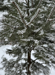 -Marik_ My Photos photo 12519835