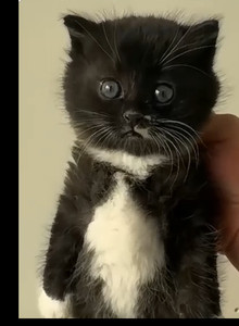 Barabazz My Photos photo 13718146