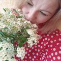 Sweet_Symphony