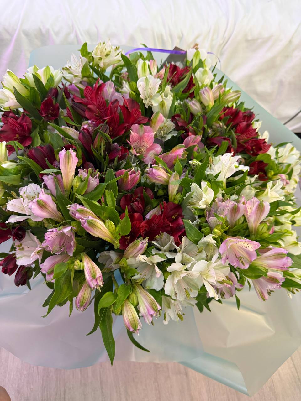 Koketka Цветы image: 2