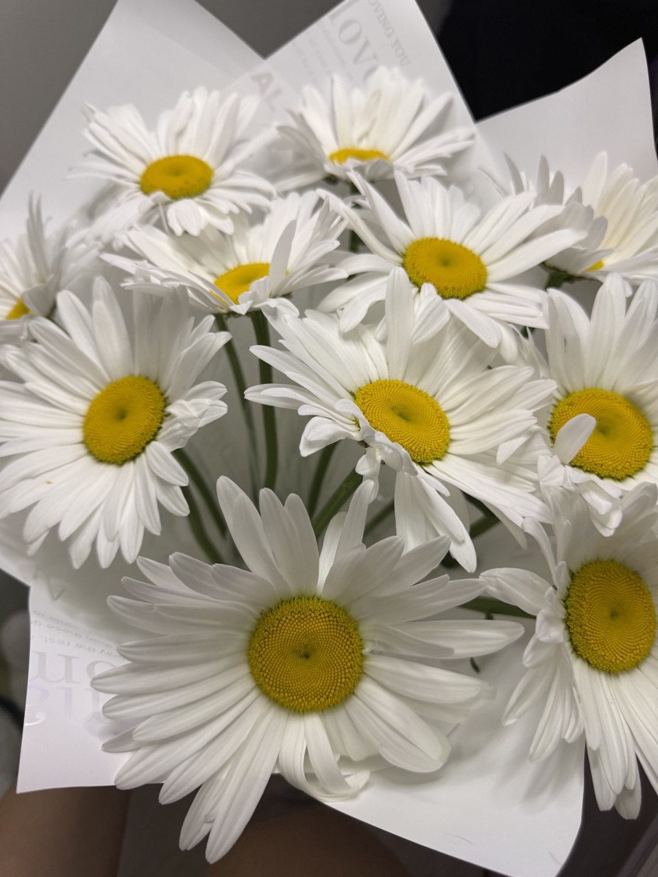 Koketka Цветы image: 5