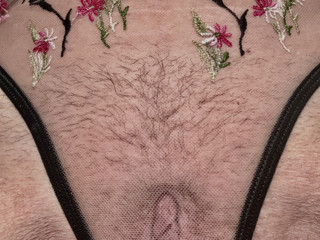 Panties