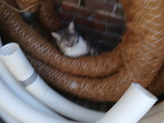 My Photos