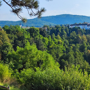 vacation on mountain