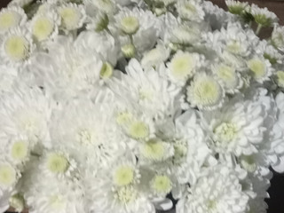 Flowers, Gifts
