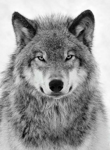 mad777boy My Photos photo 9868485