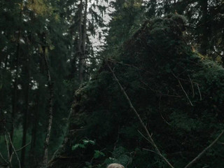 forest fairy