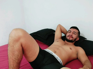 Toy