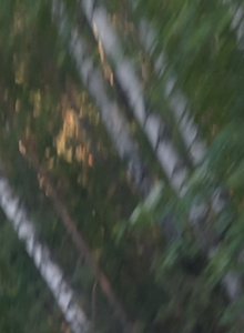 Ilyaekb21cm My Photos photo 10428690