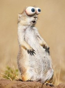 -_Bocha_- My Photos photo 10999566