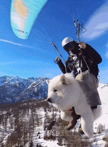 XXJAM_ My Photos photo 10167246