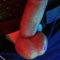 lol-141