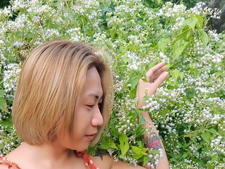 My Photos