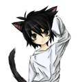 shadowfind1