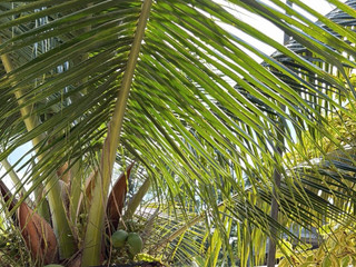 Enjoying on the beach 🏖️