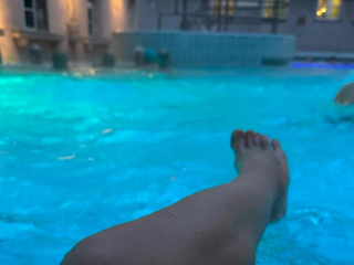 legs