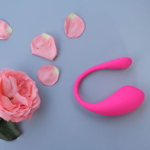 Lovence Toys