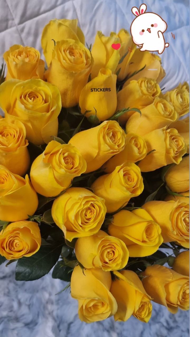 Anutka-chocolatee Приятности:) image: 3