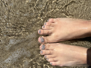 ✨