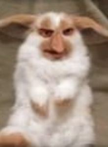 Chert- My Photos photo 12194269