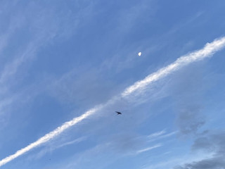 ☁️🕊️🌕