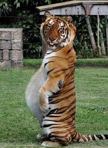 Niko_ My Photos photo 12947654