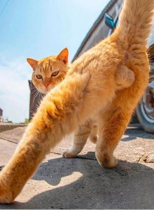 Niko_ My Photos photo 13339499