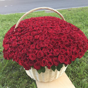 ❤ Lots of roses ❤