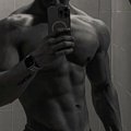 Pitbul1
