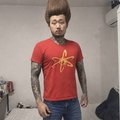 Pusilizator