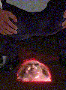 CapyBoy My Photos photo 11500727