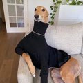 Jack_002