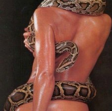 elya69l