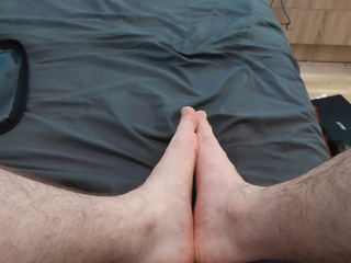 Legs