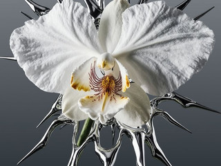 My Photos